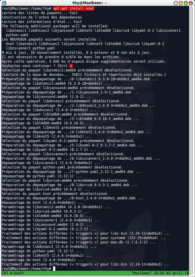 apt-get -y install knot