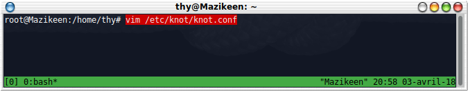vim /etc/knot/knot.conf