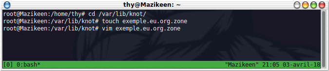 vim exemple.eu.org.zone