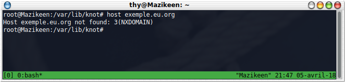 host exemple.eu.org : 3(NXDOMAIN)