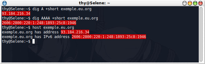dig A +short exemple.eu.org