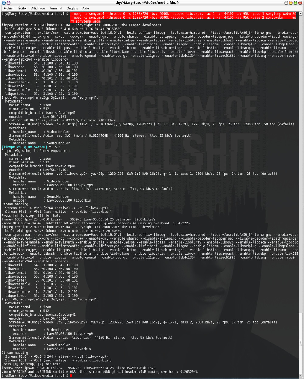 encodage d'une vidéo avec FFmpeg